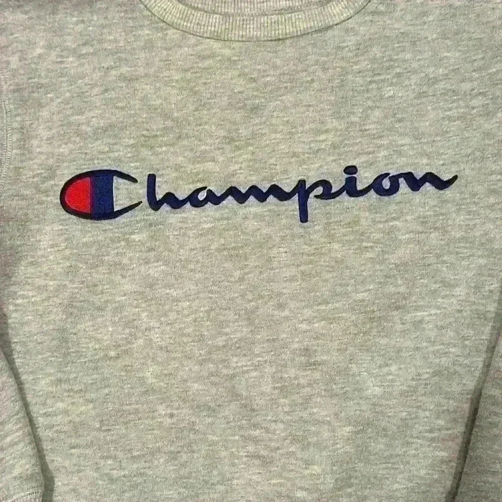 Champion Long Sleeve Crew Neck Youth Gray Sweatshirt Size Small